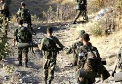 Doski vadisi PKK'ya mezar oldu