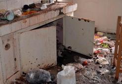 Diyarbakır operasyonunda dikkat çeken detaylar