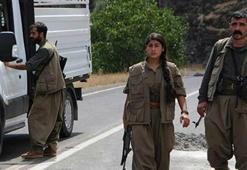 PKK'nın 'Dersim' sorumlusu öldürüldü
