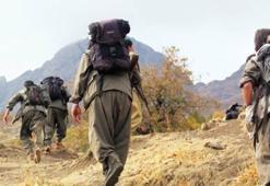 Sincar’ın IŞİD’den kurtarılmasını PKK engelliyor