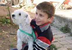 Cumhurbaşkanı Erdoğan, hayvansever minik Ömer Faruk’a köpek hediye etti