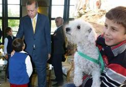 Cumhurbaşkanı Erdoğan, köpek hediye ettiği ailenin banka borcunu da çözdü
