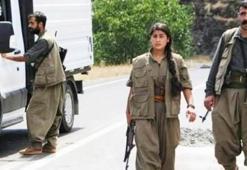 PKK'nın bölge sorumlusu 'ihbar' ile öldürüldü