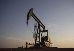Tuz ararken petrol buldular