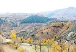 Madra Dağı altını için izin bekleniyor