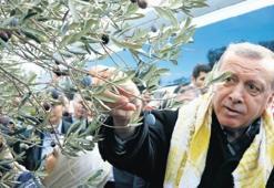 ‘Yaşanan hadiseden dolayı üzgünüz’