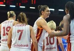 Aslan karanlıktan aydınlığa döndü