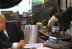 ABD'nin sembolü Trump'a saldırdı