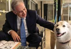 Netanyahu'nun köpeği misafirleri ısırdı