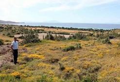 Rus milyarderi üzecek Çeşme kararı