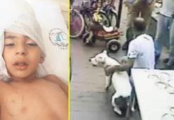 Çocuğu ısıran köpeğin sahibine 1 yıl hapis