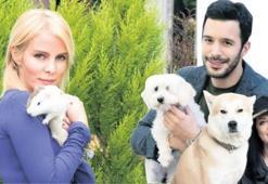 Sevimli dostları ile takvim pozu verdiler