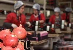 Rusya aralıkta stok yaptı, meyve ihracatı arttı