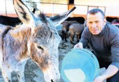 1 litre eşek sütünün fiyatı 143 litre petrole bedel