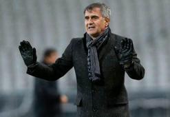 'Keşke hiç gelmeseydik'