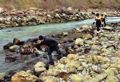 Kayıp çocuklardan 28 gündür haber yok