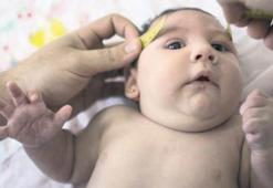 Zika salgını Güney Amerika’da yayılıyor