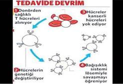 İnsanlık kanserin bileğini büküyor