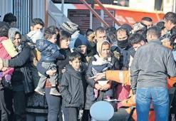 Dikili’de 353 mülteci yakalandı