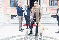 Büyükelçi eşinin köpeğinde ‘dokunmayın’ notu