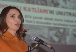 Azeri milletvekilinden Ermenistan'a şok sözler