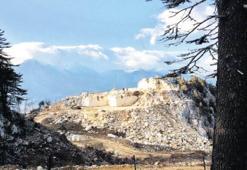 Sedir ormanı bir yılda yok edildi