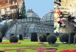 Dünyanın en huzurlu şehri Viyana