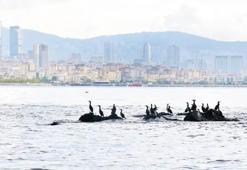 İstanbul’un kayıp adası UNESCO yolunda