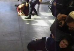 Karaman'da köpek kavgası