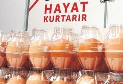 Kan verene cins tavuk yumurtası