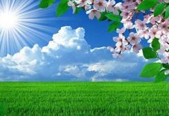 Nevruz nedir?