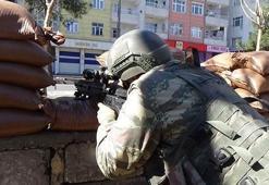 Bağlar'da çok sayıda mühimmat ele geçirildi