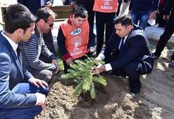 Down sendromlu öğrenciler fidan dikti