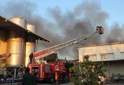 Antalya'da boya fabrikasında korkutan yangın