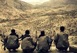PKK'nın yeni planı ortaya çıktı!