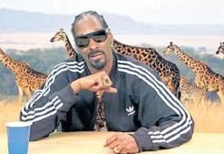 Belgeselci Snoop