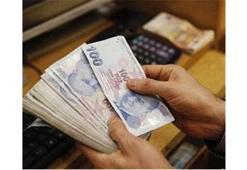 Genç çiftçilere 30 bin lira hibe desteği Resmi Gazete'de