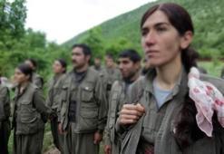 Teslim olan teröristler her şeyi itiraf etti!