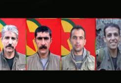 PKK, üst düzey yöneticisinin öldüğünü 4 ay sonra açıkladı