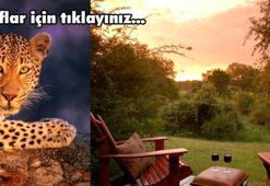 Güçlü kadınların da ağladığını gösterdim