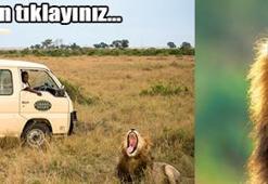 'Maşallah' soruşturması!