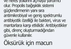 'Gripten korunmak için 460 bin ton bitki içiyoruz'