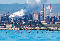 Türk damada göz koydu