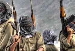 Terör örgütü PKK'ya büyük darbe