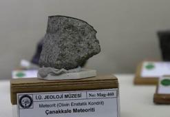 Meteorda yaşam izi bulundu