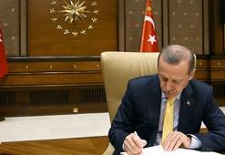 Erdoğan'ın planı ne?
