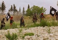IŞİD, savaştan kaçan onlarca militanını diri diri gömdü