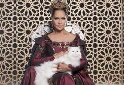 Kösem macerası bitiyor