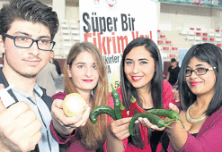 Biber gazına alternatif soğan gazı yaptılar!