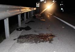Seyir halindeki kamyonetten atılan kadın öldü